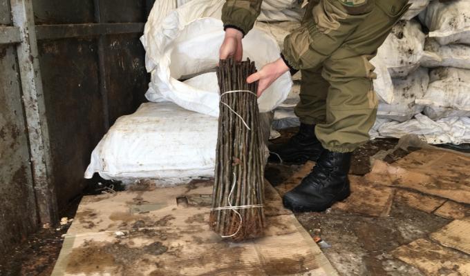 На Луганщині біля кордону затримано партію саджанців вартістю понад мільйон гривень