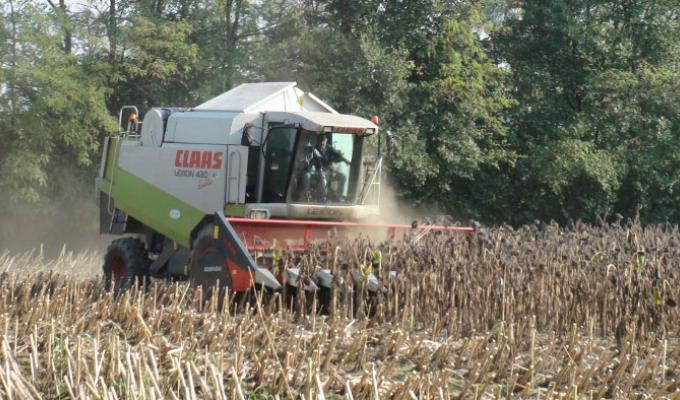 Жнива-2019: аграрії району почали збирання соняшнику