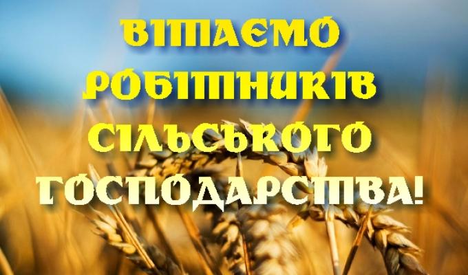 19 листопада – День працівників сільського господарства. Шановні працівники сільського господарства району!