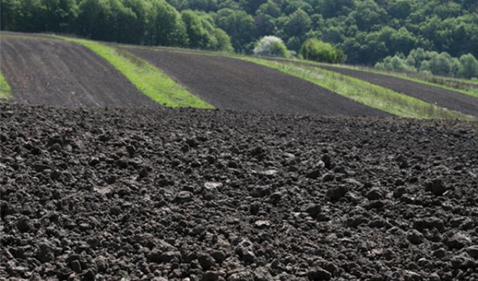 Збереження родючості ґрунтів для майбутніх поколінь – наша задача