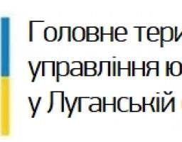 Як за допомогою інтернету отримати інформацію про громадську організацію