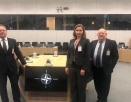 У рамках засідання Комісії Україна-НАТО виступила делегація “Нафтогазу”