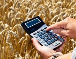 Фінансова підтримка щодо здешевлення кредитів