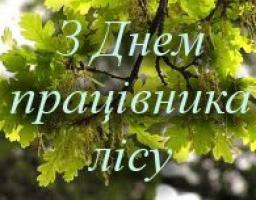 20 вересня  –  День працівників лісу