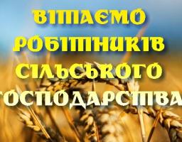 19 листопада – День працівників сільського господарства. Шановні працівники сільського господарства району!