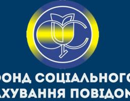 Терміни виплат роботодавцями лікарняних і декретних рекомендовано пришвидшити