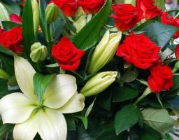 04 листопада – День працівника соціальної сфери. Шановні працівники та ветерани праці соціальної сфери!