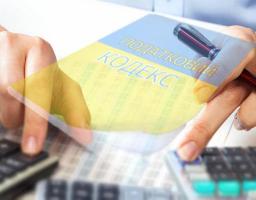 Від порушників законодавства бюджет отримав 13,4 млн грн податків та штрафів