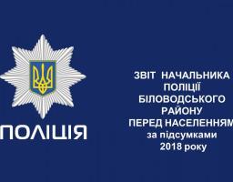 Звіт начальника поліції Біловодського району перед населенням за підсумками 2018 року