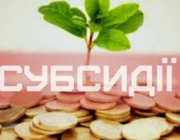 Сучасні технології в призначенні субсидії