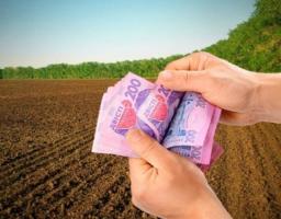 Здавали в оренду земельні паї – своєчасно задекларуйте свої доходи